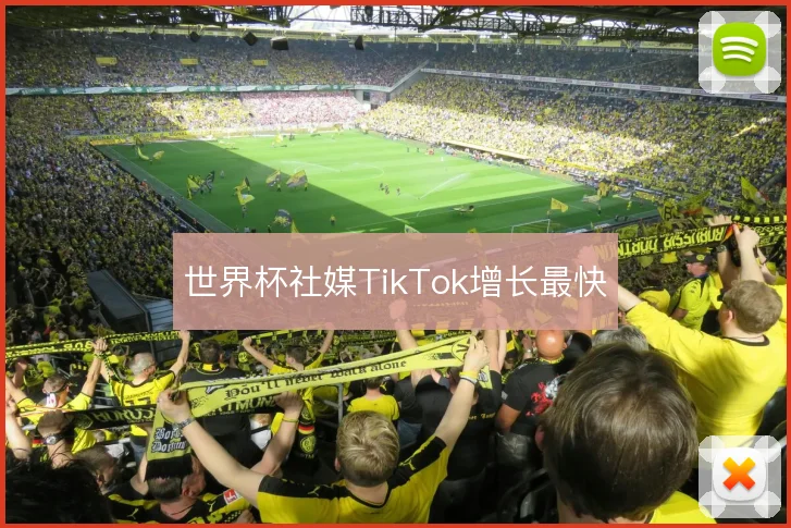 世界杯社媒TikTok增长最快