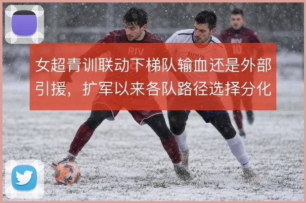 女超青训联动下梯队输血还是外部引援，扩军以来各队路径选择分化