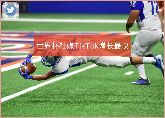 世界杯社媒TikTok增长最快