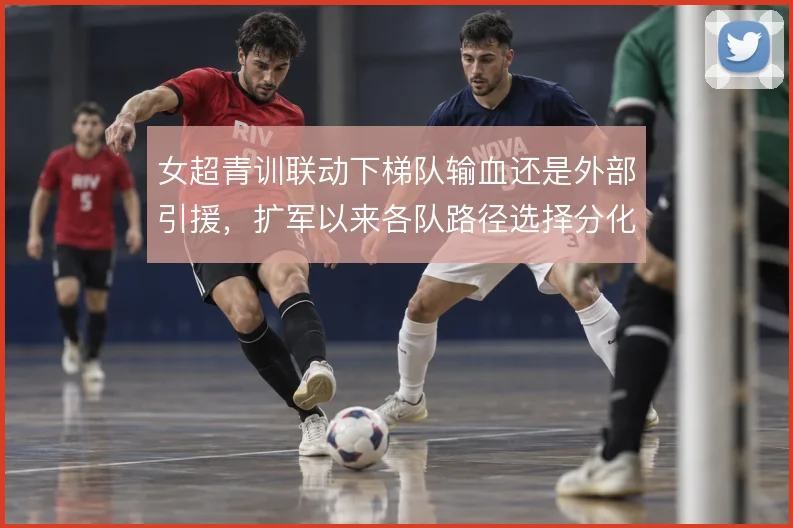 女超青训联动下梯队输血还是外部引援，扩军以来各队路径选择分化
